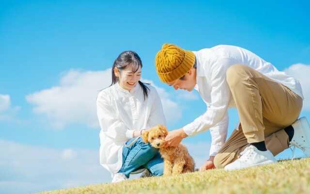 犬と遊ぶ男女