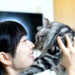 猫と遊ぶ人